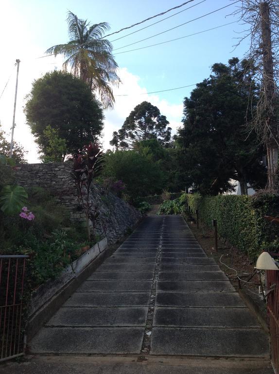 Braunes Guest House Nova Friburgo Buitenkant foto