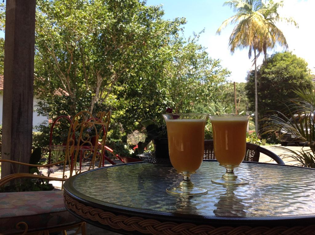 Braunes Guest House Nova Friburgo Buitenkant foto
